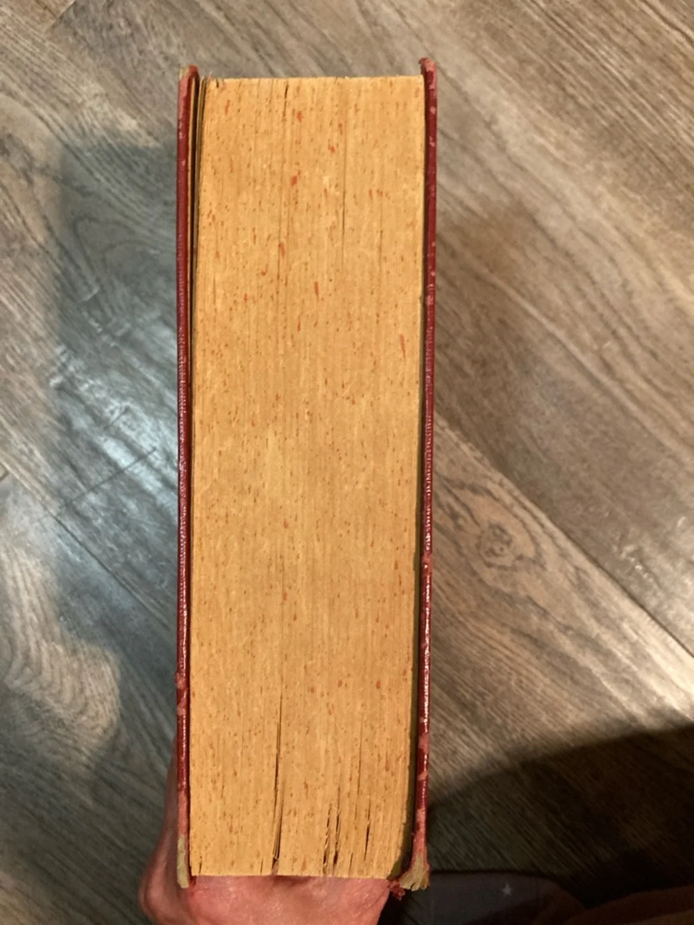 Vintage Webster’s Illustrated Dictionary 1961